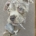PASTEL TEKENEN workshop  2 dagdelen